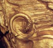 Хвіст грифона