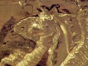 Голова грифона