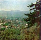 Новий Кропивник с