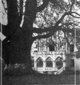 Палац. Фрагмент південного фасаду