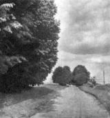 Шлях до села