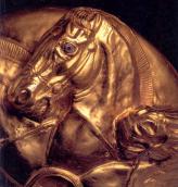 Голова коня