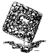 План і переріз центральної частини