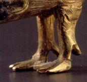 Передні ноги