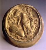 Вигляд зверху