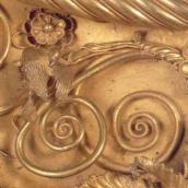 Птах на рослині (22)