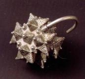 Загальний вигляд