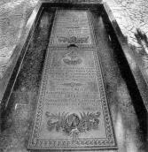 Загальний вигляд