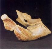 Щелепа мамонта з розписом