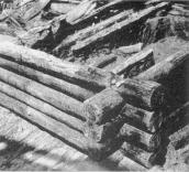 1972 р. Фрагмент зрубної конструкції