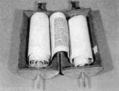 1993 р. Звиток Тори