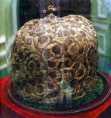 Шапка Б.Хмельницького