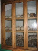 Вигляд з правого боку