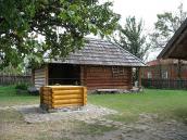 2006 р. Криниця на тлі шпихліра