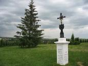 2008 р. Загальний вигляд