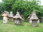 Вигляд з півдня