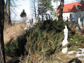 Фрагмент цвинтаря