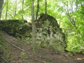 2006 р. Загальний вигляд