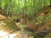 Дорога до джерела діви Марії