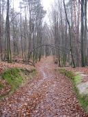 2007 р. Фрагмент дороги