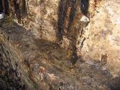 2008 р. Інтер’єр з виступом у скелі…