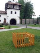 Історична сосна