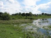 Єврейський цвинтар