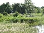 2006 р. загальний вигляд єврейського…