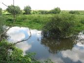 2011 р. Краєвид біля с. Ракобовти