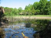 2011 р. Ставок біля замку