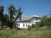 2008 р. Загальний вигляд