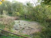 2006 р. Дзеркальце води біля каплиці