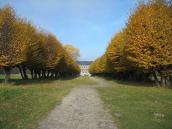 2006 р. Алея в парку