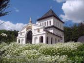 2010 р. Загальний вигляд з південного…