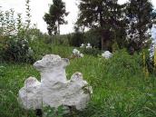 2006 р. Фрагмент старого цвинтаря (2)