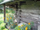 Фрагмент зрубу вівтаря