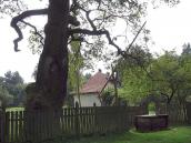 2006 р. Паркан і криниця на тлі хати