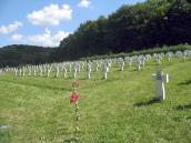 2010 р. Квітка мальви на тлі поля…