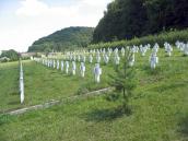 2010 р. Ряди поховань