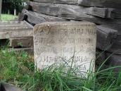 2014 р. Загальний вигляд