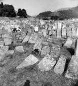 Єврейський цвинтар