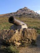 2004 р. Гармата на тлі Дозорної башти