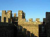 2004 р. Верхній ярус. Вигляд з…