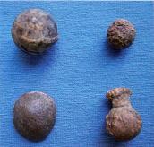 Городище Замок