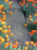 2008 р. Надгробна плита ... Петрівни…