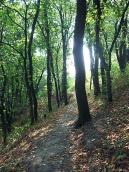 2008 р. Стежка