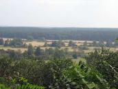 2008 р. Вид на Заснов’я від садиби…