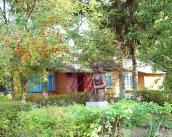 2008 р. Загальний вигляд на тлі…