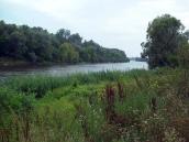 2008 р. Краєвид Десни біля села