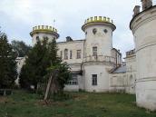 2008 р. Центральна частина головного…